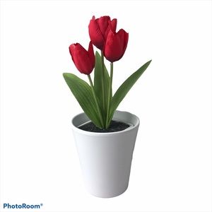 NWOT - German Pottery Matte White Planter Pot